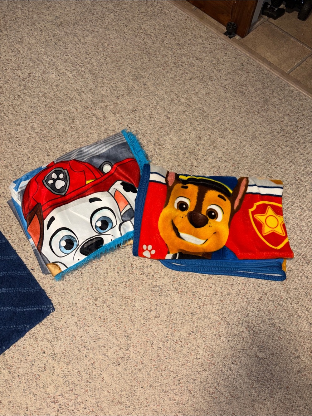 Set of 2: Paw Patrol Blue Red Gray Character blankets